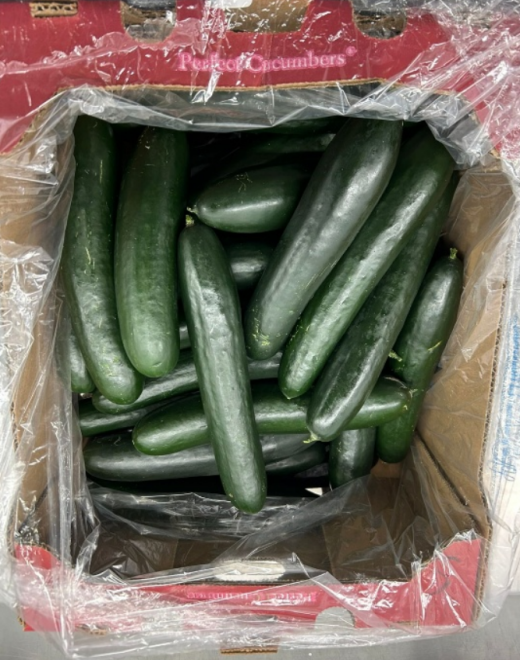SunFed - field cucumbers - product