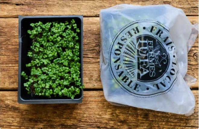 Les Fermes Lufa - Micropousses de brocoli - 50 g - Produit